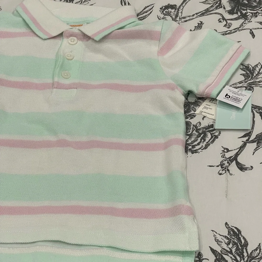 Gymboree new 2t