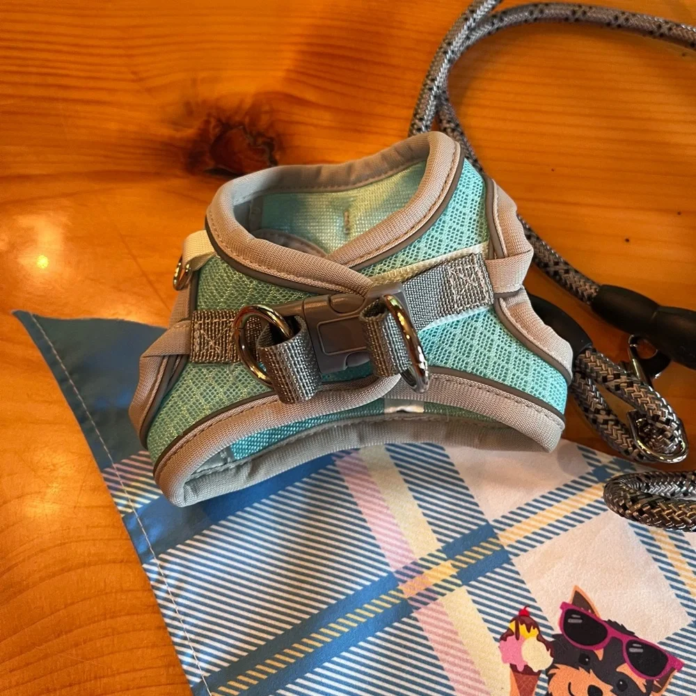 Tiny dog harness leash and neck scarf xxs
