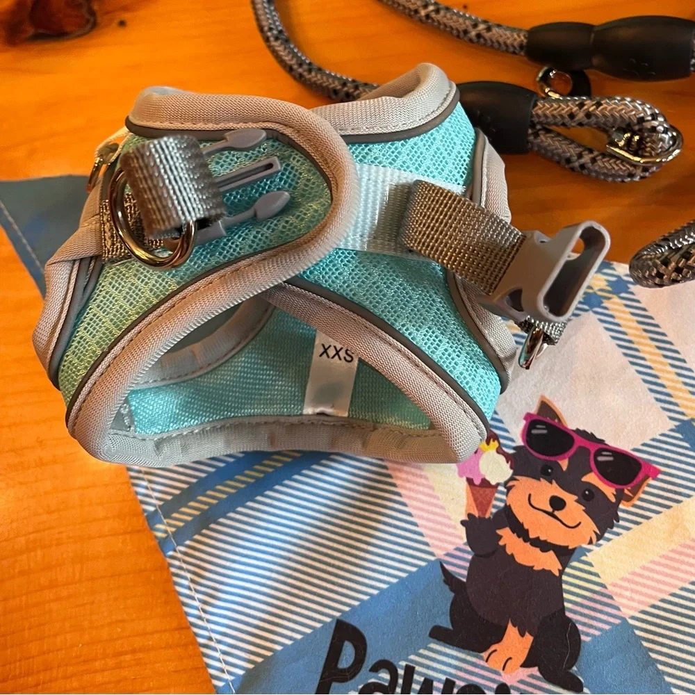 Tiny dog harness leash and neck scarf xxs