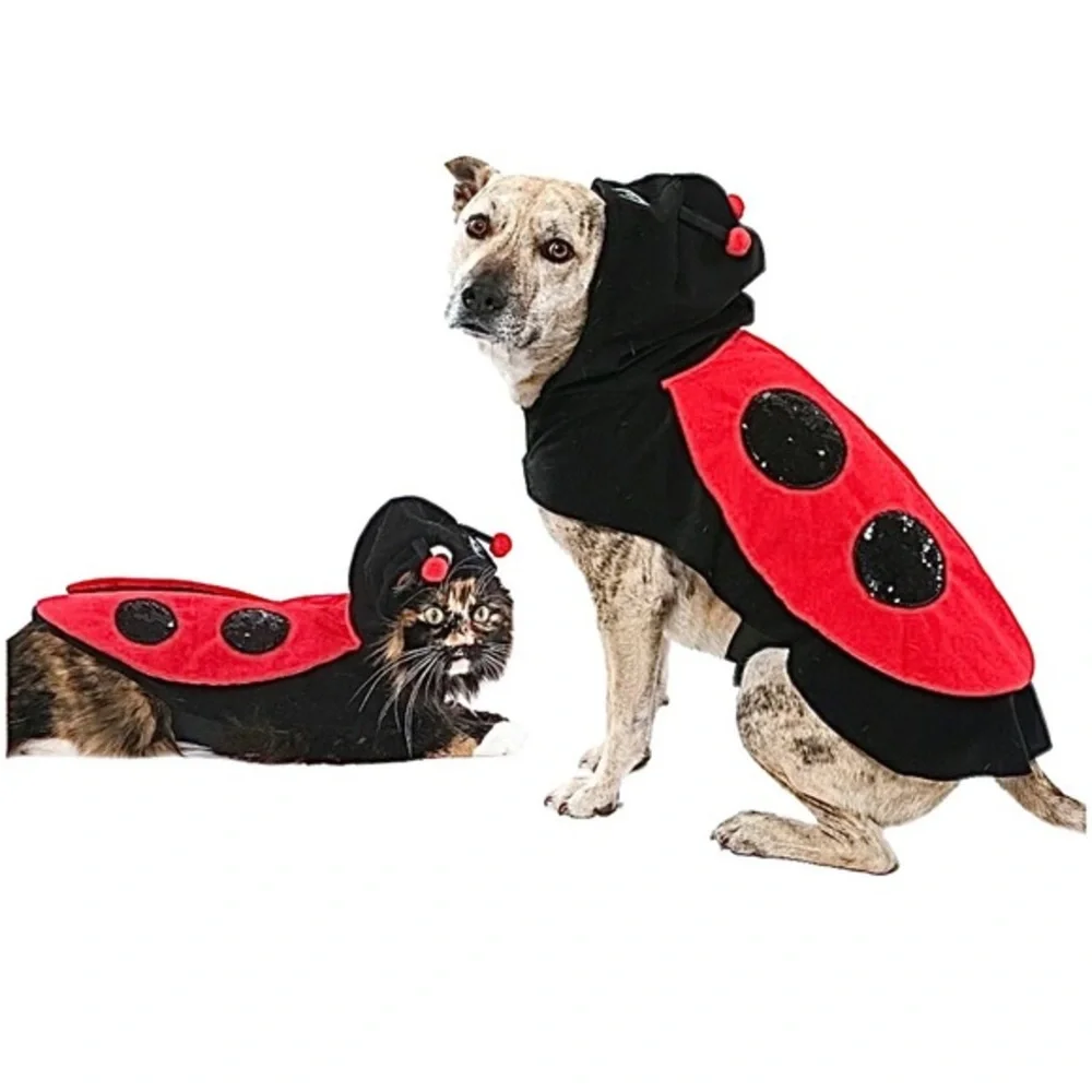 PET LADYBUG COSTUME NWT