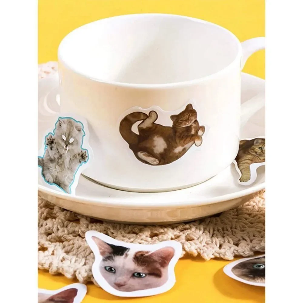 46pcs Cat Print Stickers