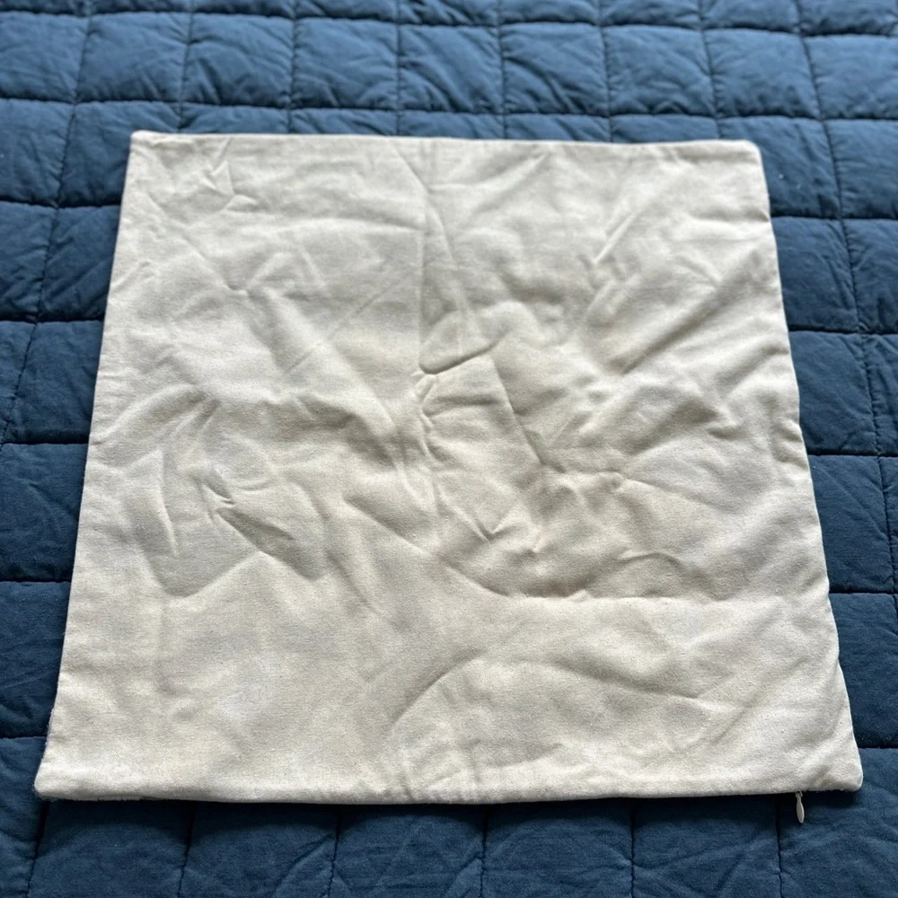 West Elm blue pillow