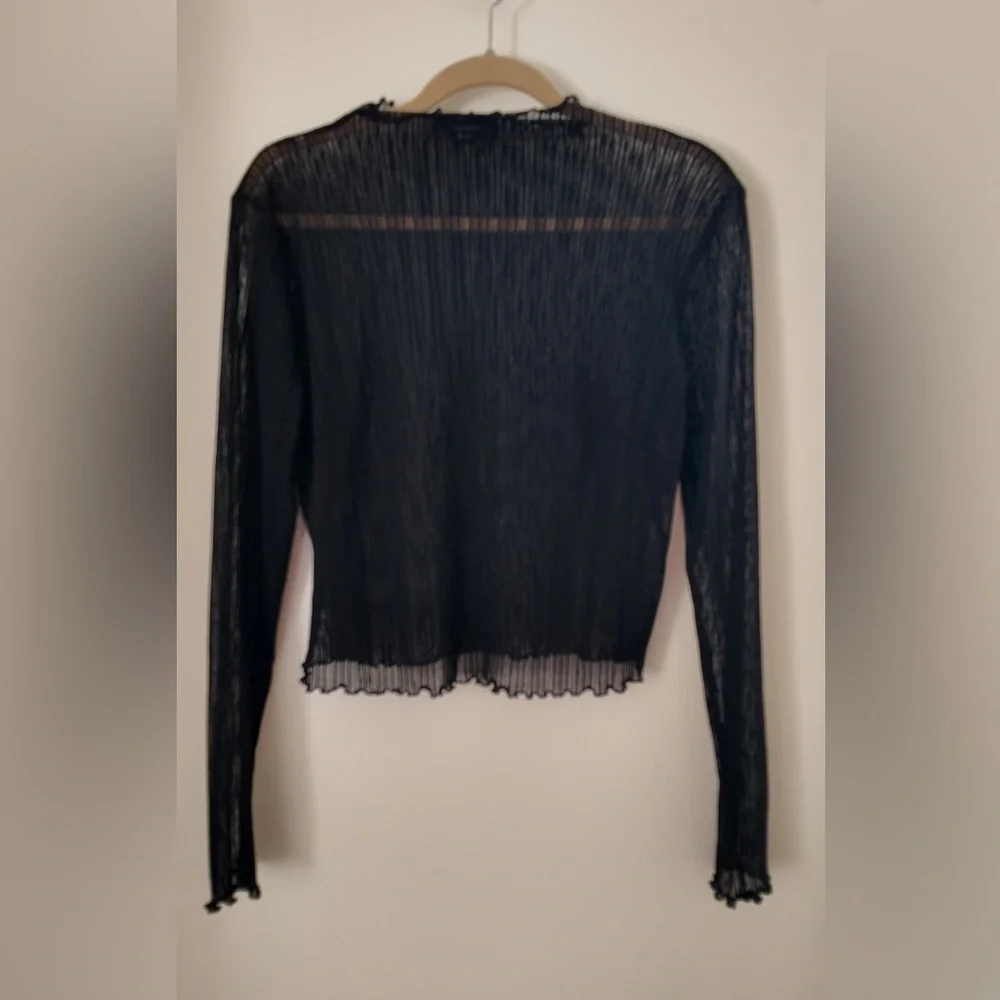 Sheer Pleated Boat Neck Top – Plus Size 0X, Elegant Long Sleeve Blouse