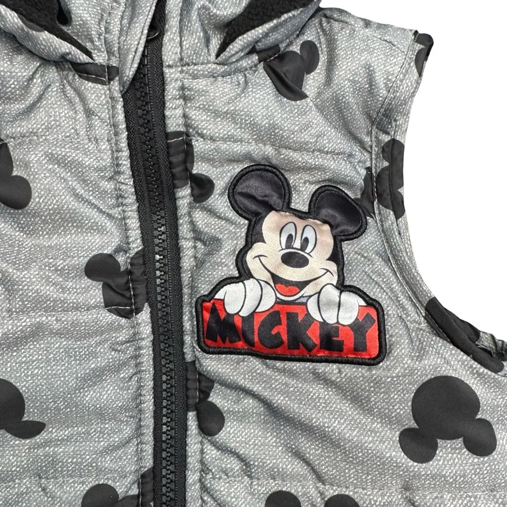 Disney easy fast