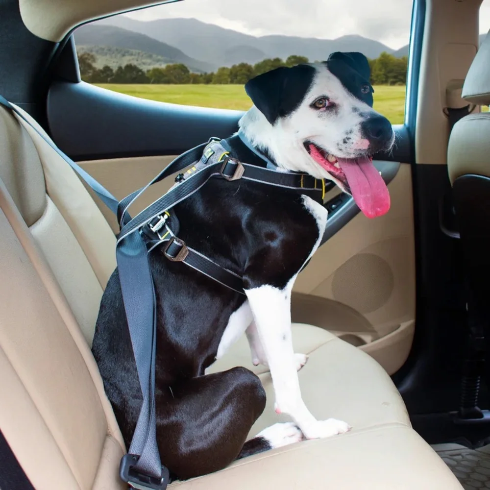 Kurgo Impact Dog Harness. Size medium