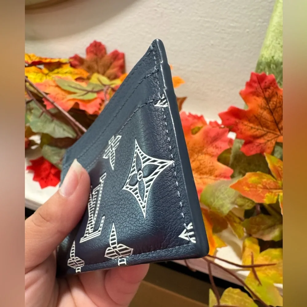 Louis Vuitton stylish card