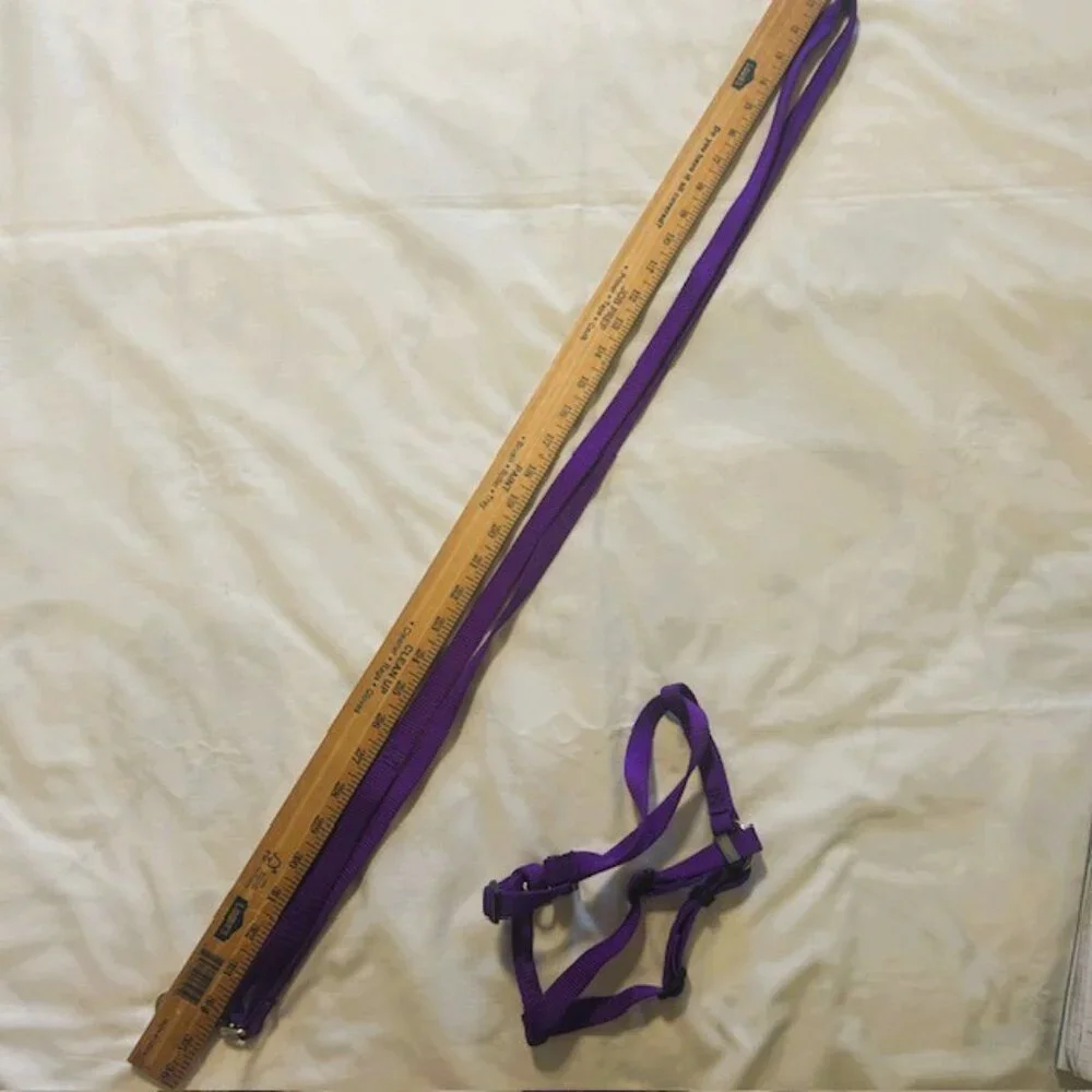 Dog Harness and Leash Unbranded Purple Medium Adjustable