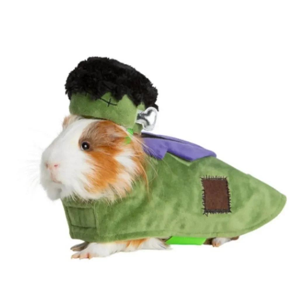 Frankenstein Bride Costume AND Frankenstein - 2! Thrills & Chills™ Small Animal