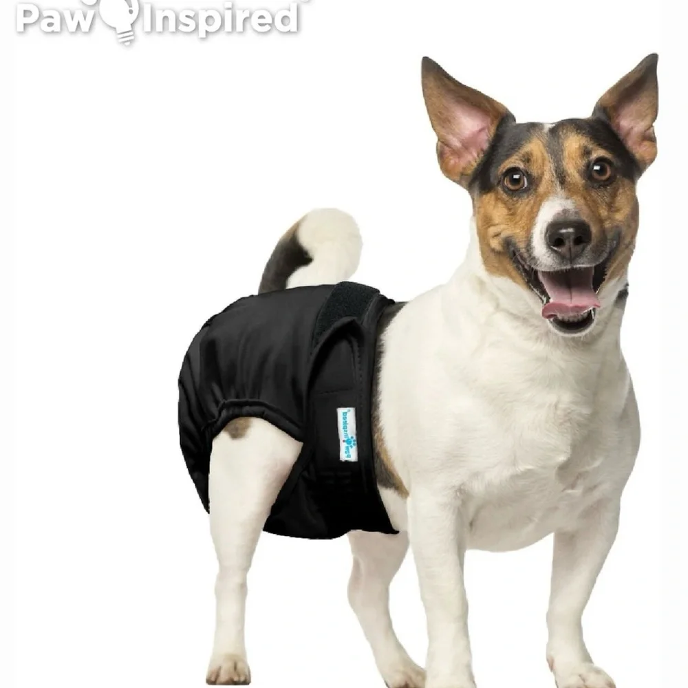 Inspire comfortable reusable