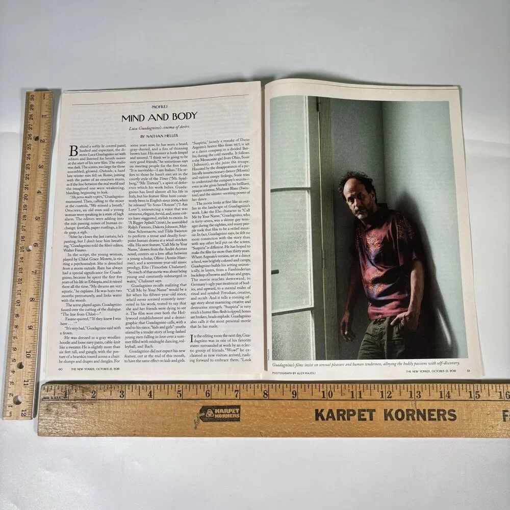 Luca Guadagnino director producer Print Ad Pinup Poster magazine article photo