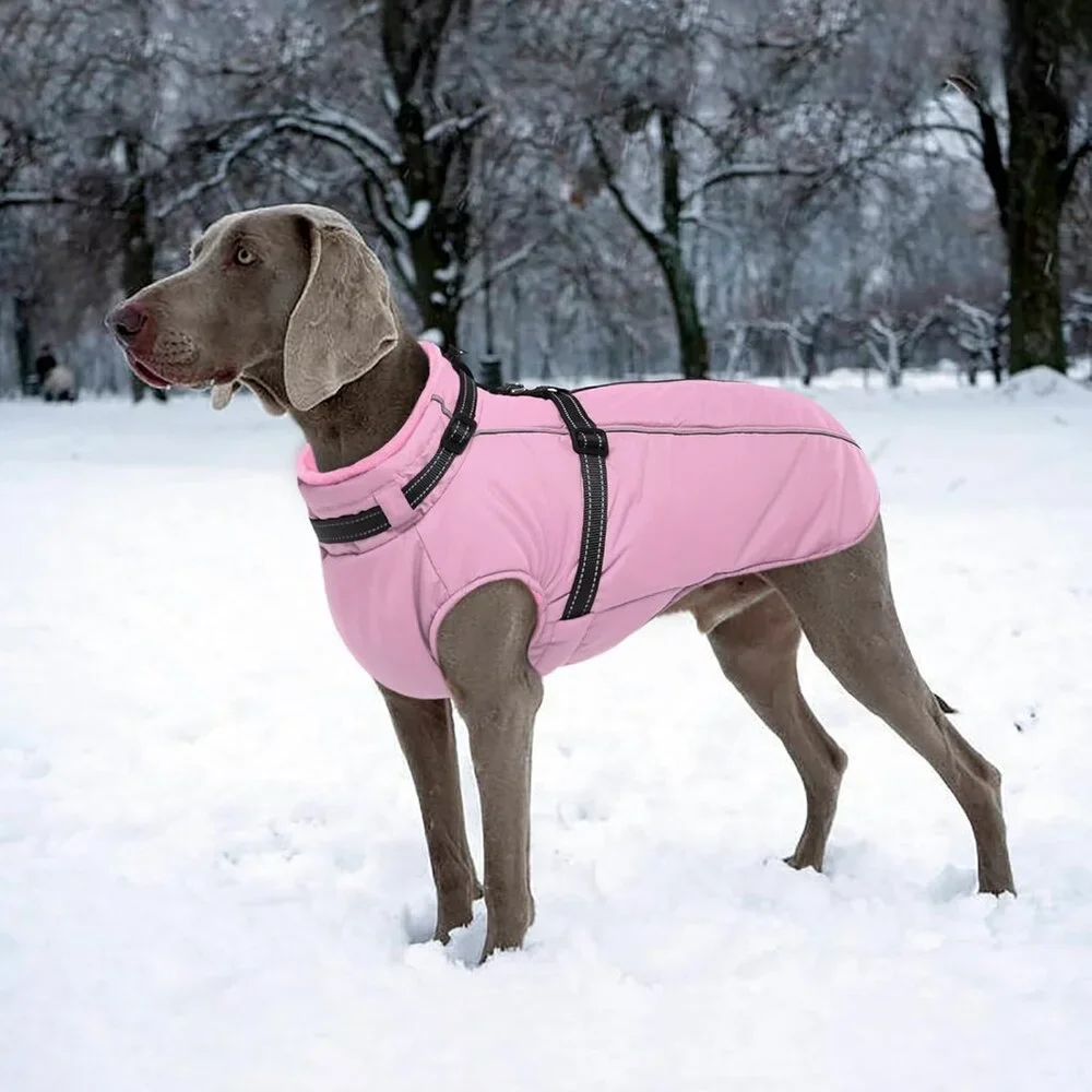 Lelepet #d281 dog