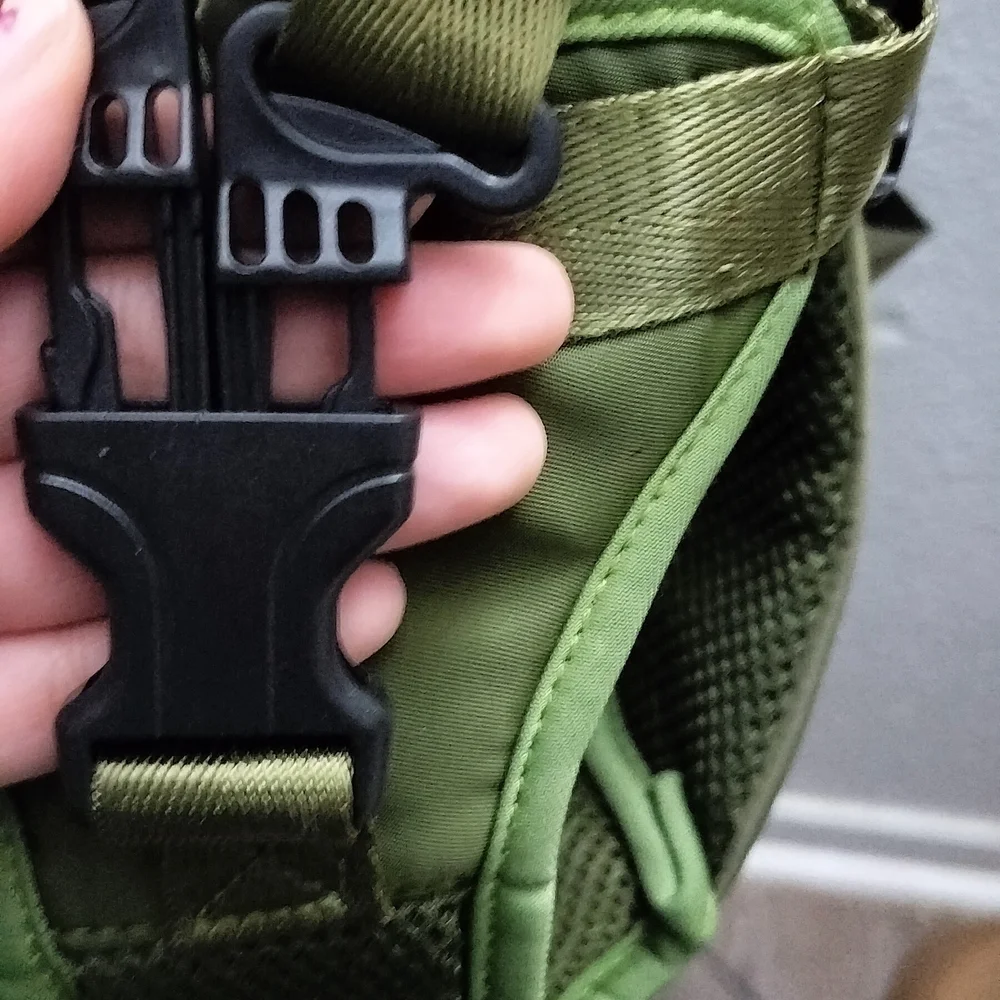 tailup pet carrier