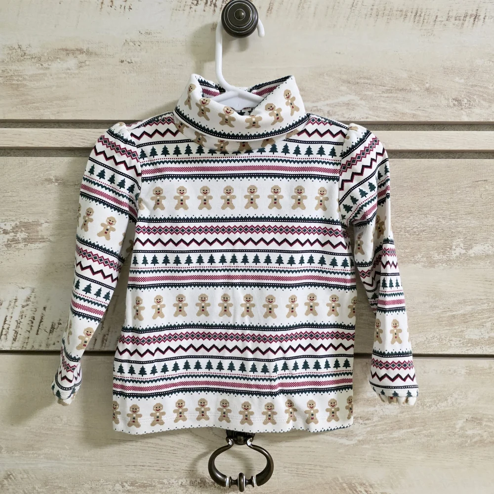 Gymboree charming turtleneck