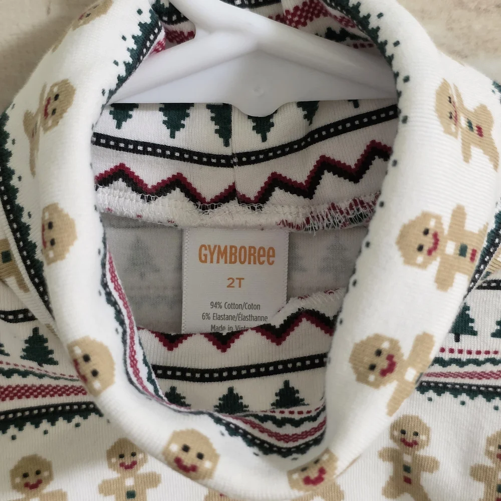 Gymboree charming turtleneck