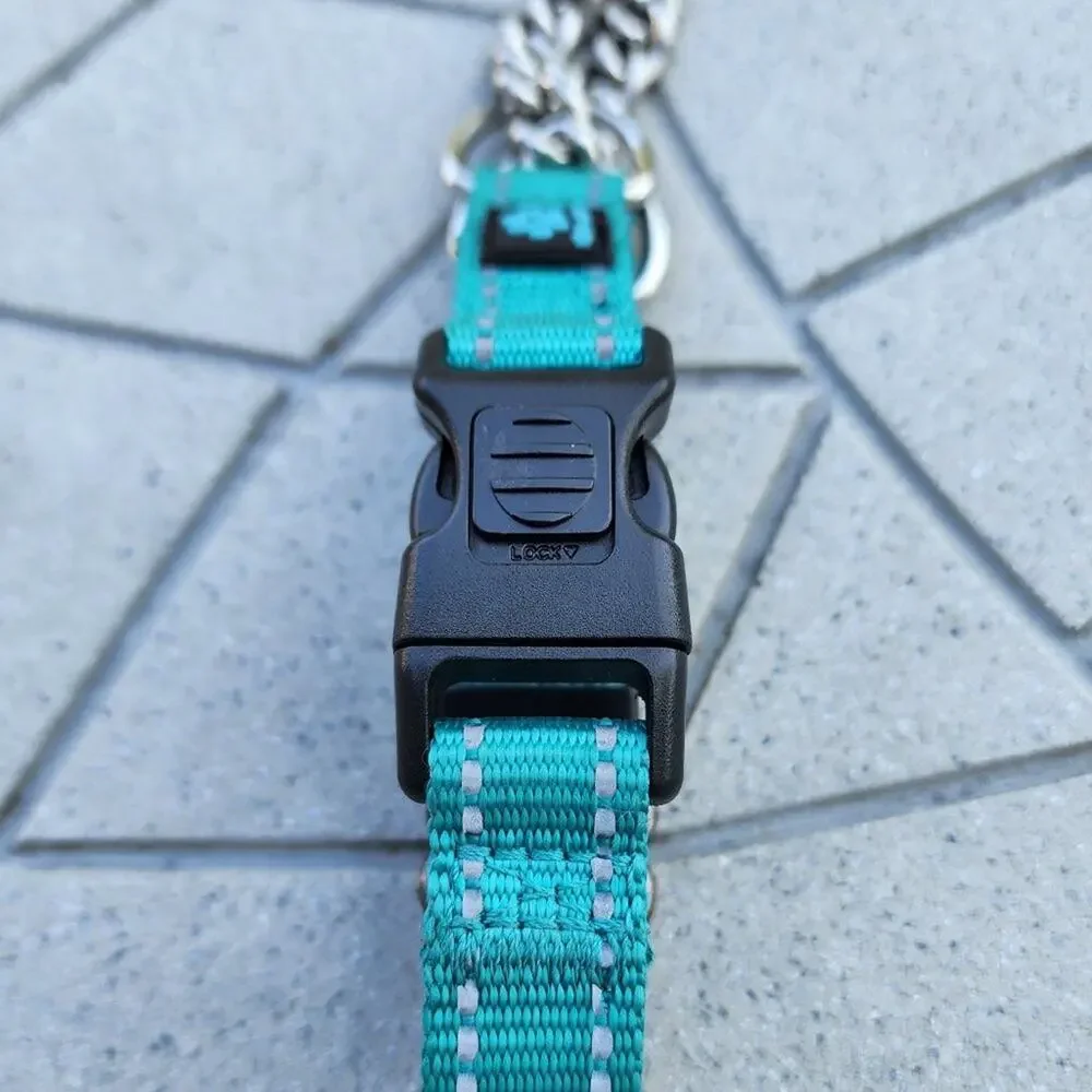Max and Neo Stainless Steel Chain Reflective Nylon Martingale Collar