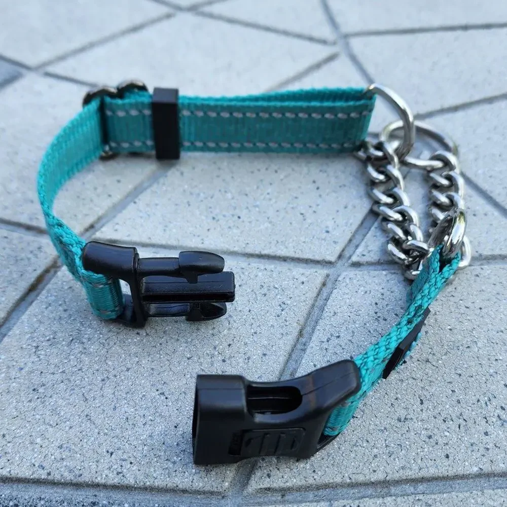 Max and Neo Stainless Steel Chain Reflective Nylon Martingale Collar