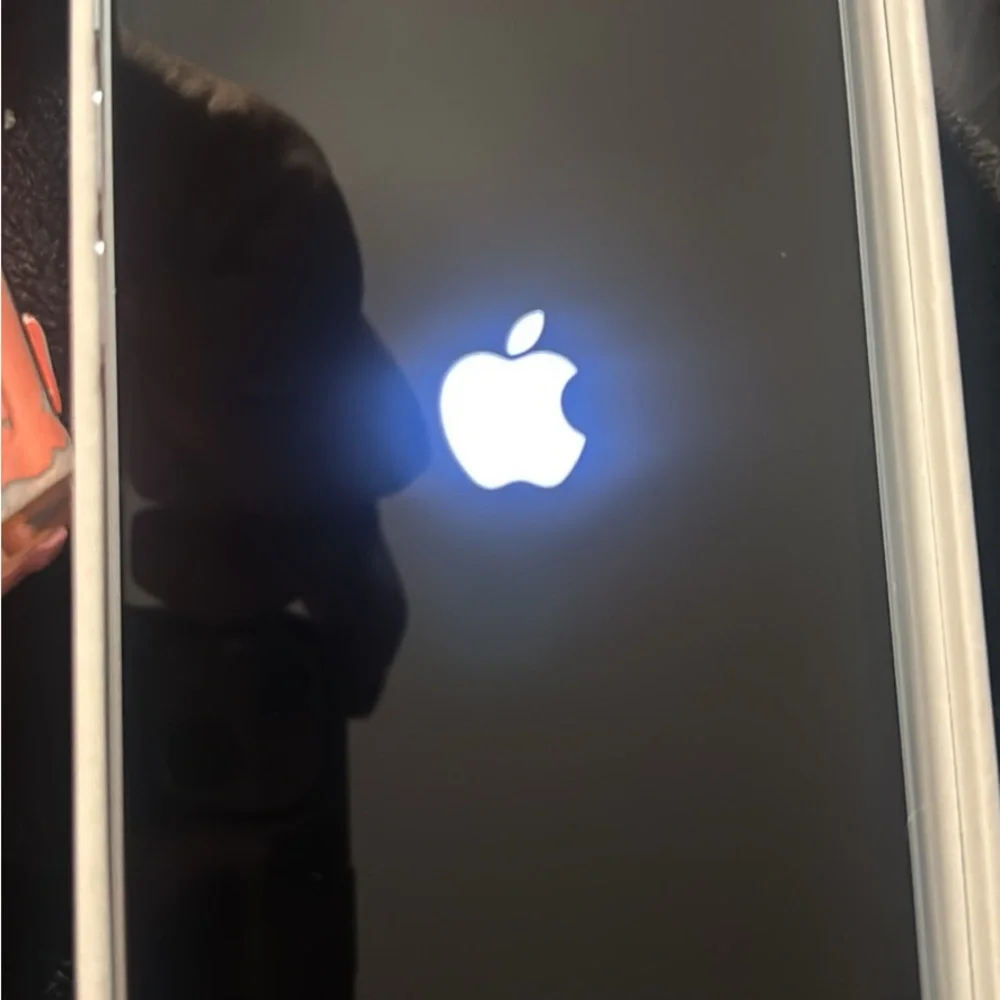 Apple discover elegance
