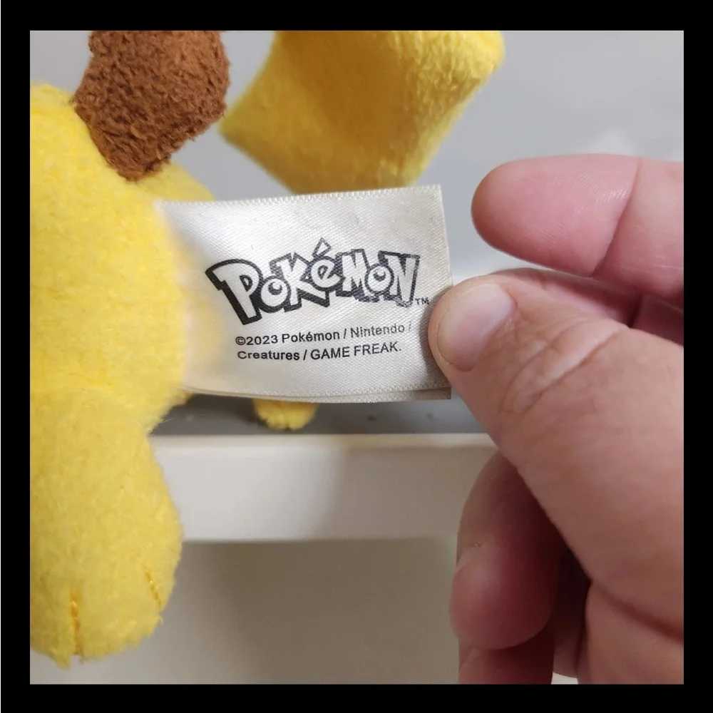 Pokemon nintendo game