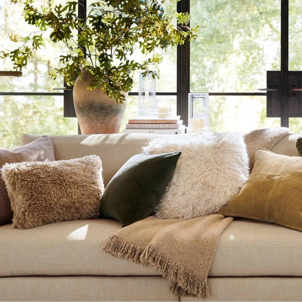 Set of Two Luxe Faux Fur Euro Shams Pottery Barn