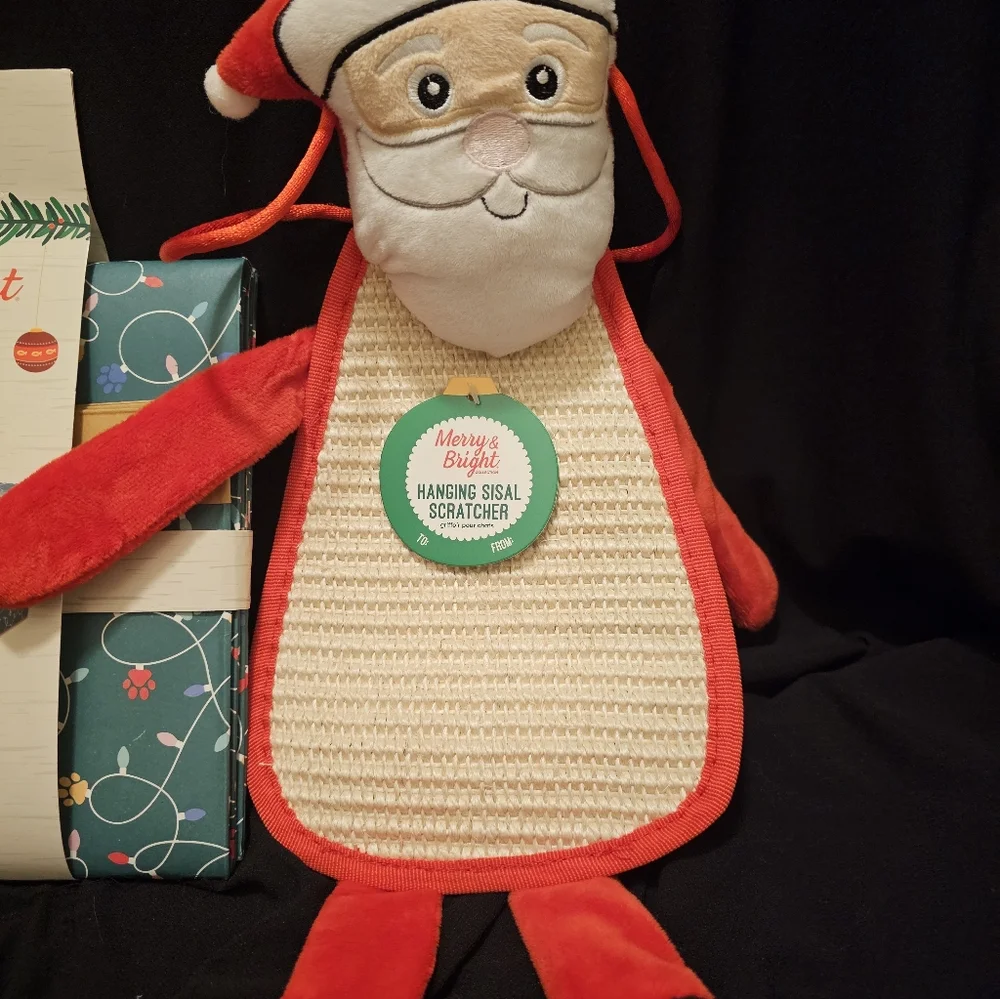 N/A festive cat