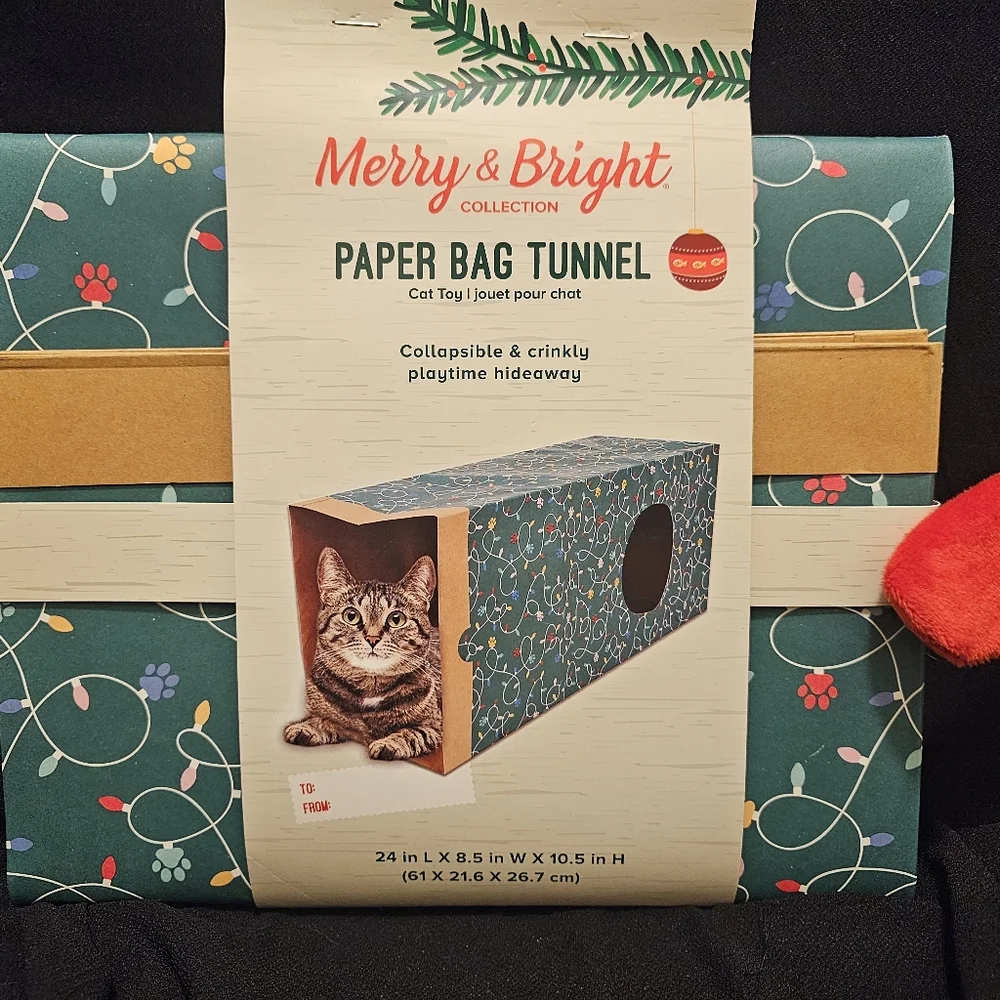 N/A festive cat