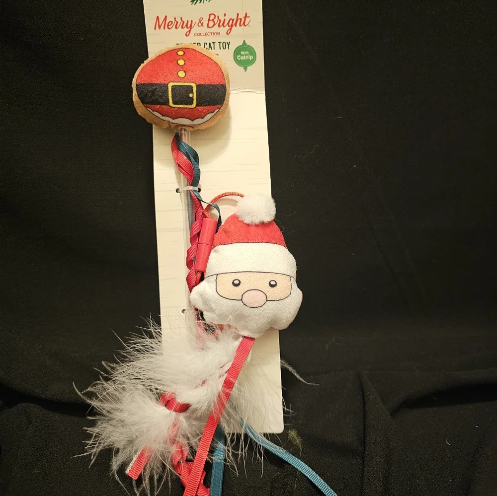 N/A festive cat