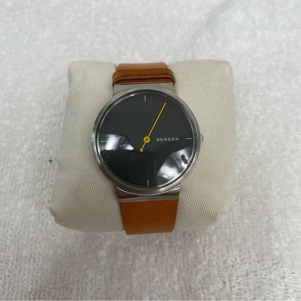 Skagen ***needs new