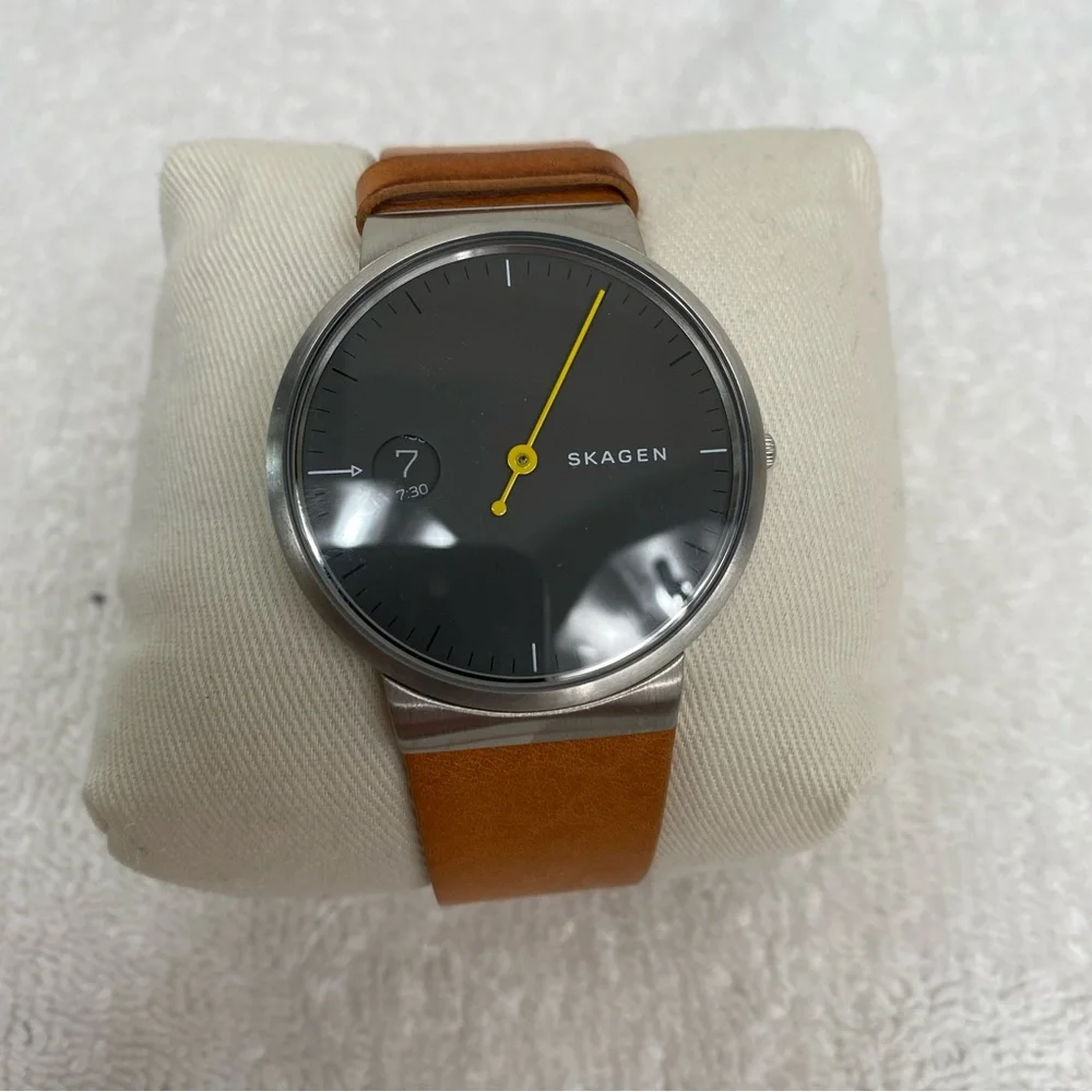 Skagen ***needs new