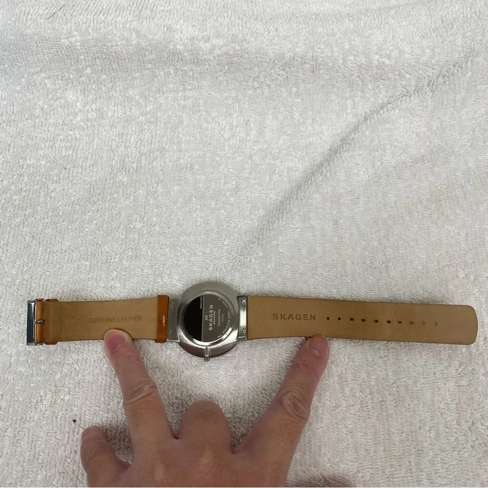 Skagen ***needs new