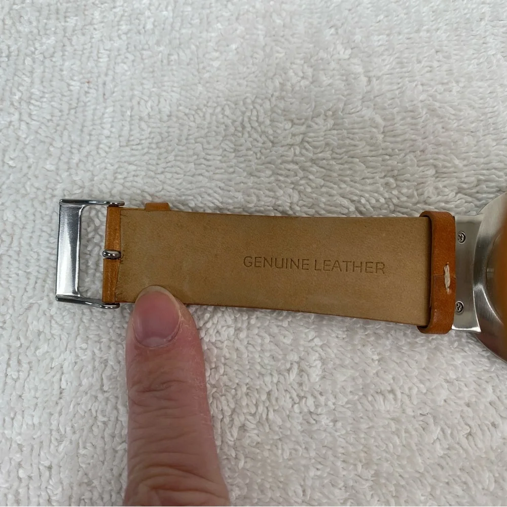 Skagen ***needs new