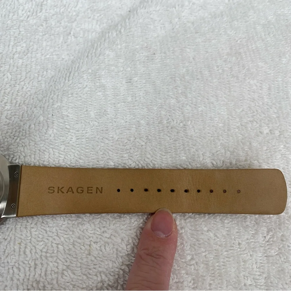 Skagen ***needs new