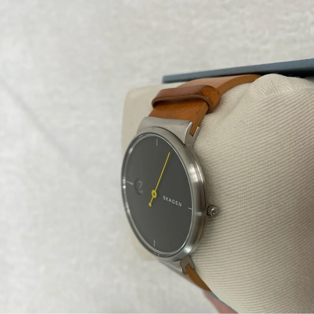 Skagen ***needs new