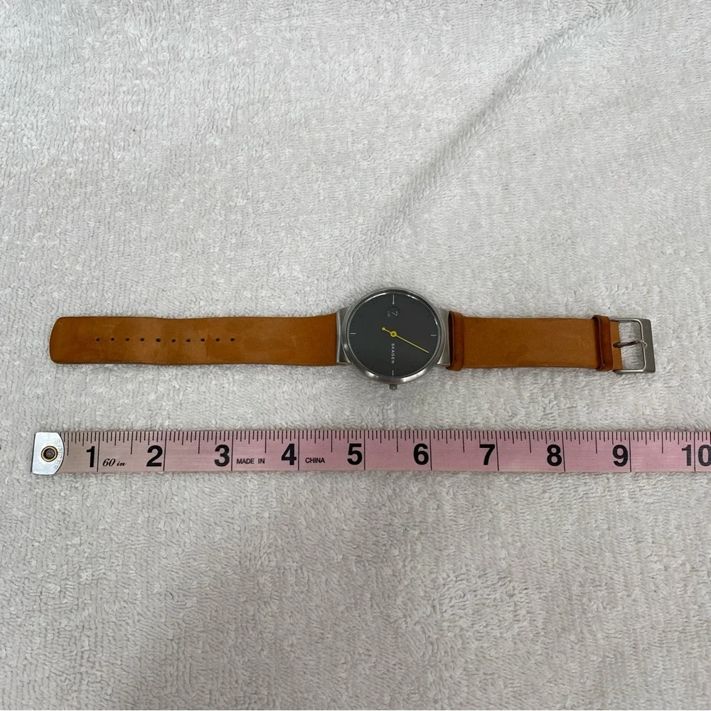 Skagen ***needs new