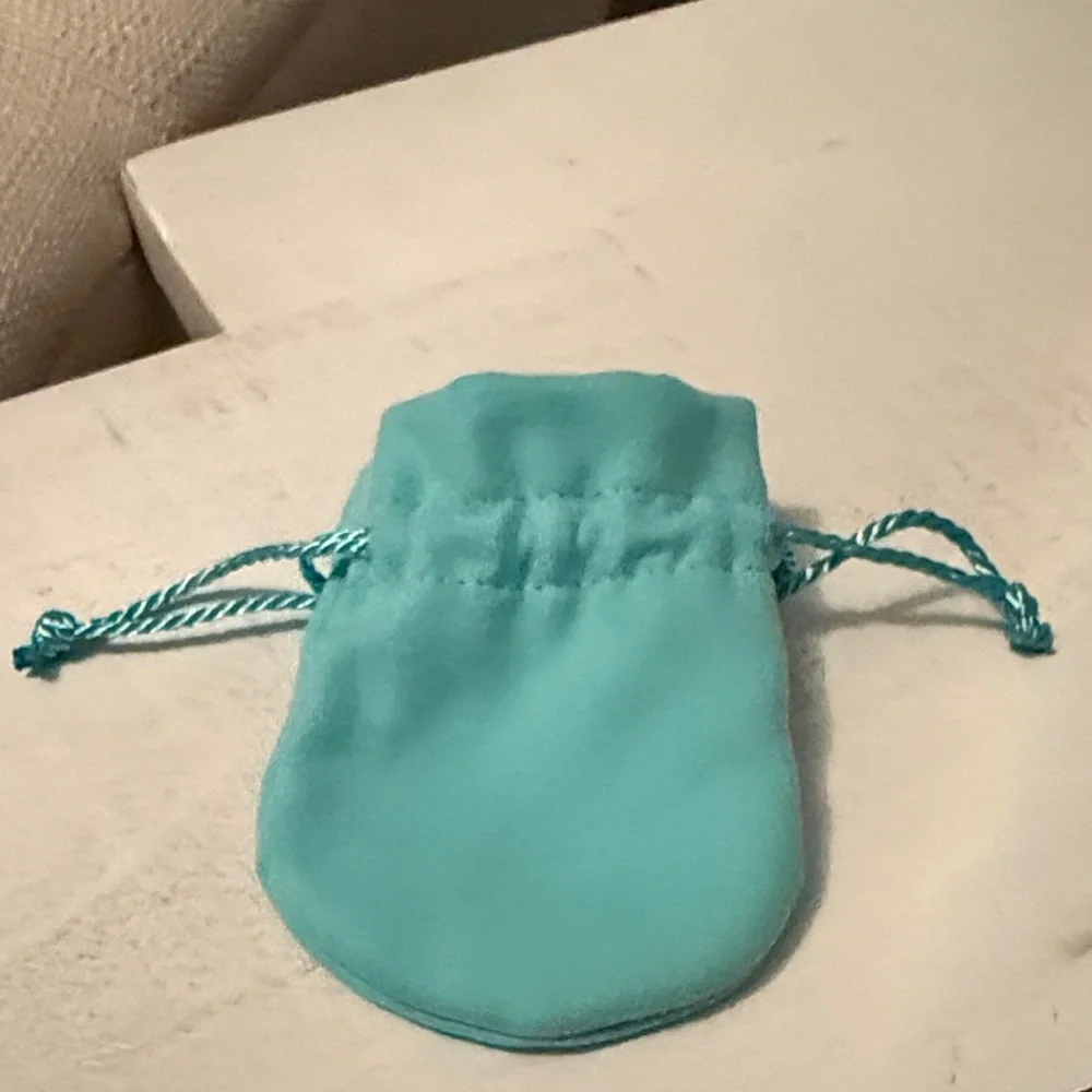 Tiffany & Co. pouch jewelry turquoise