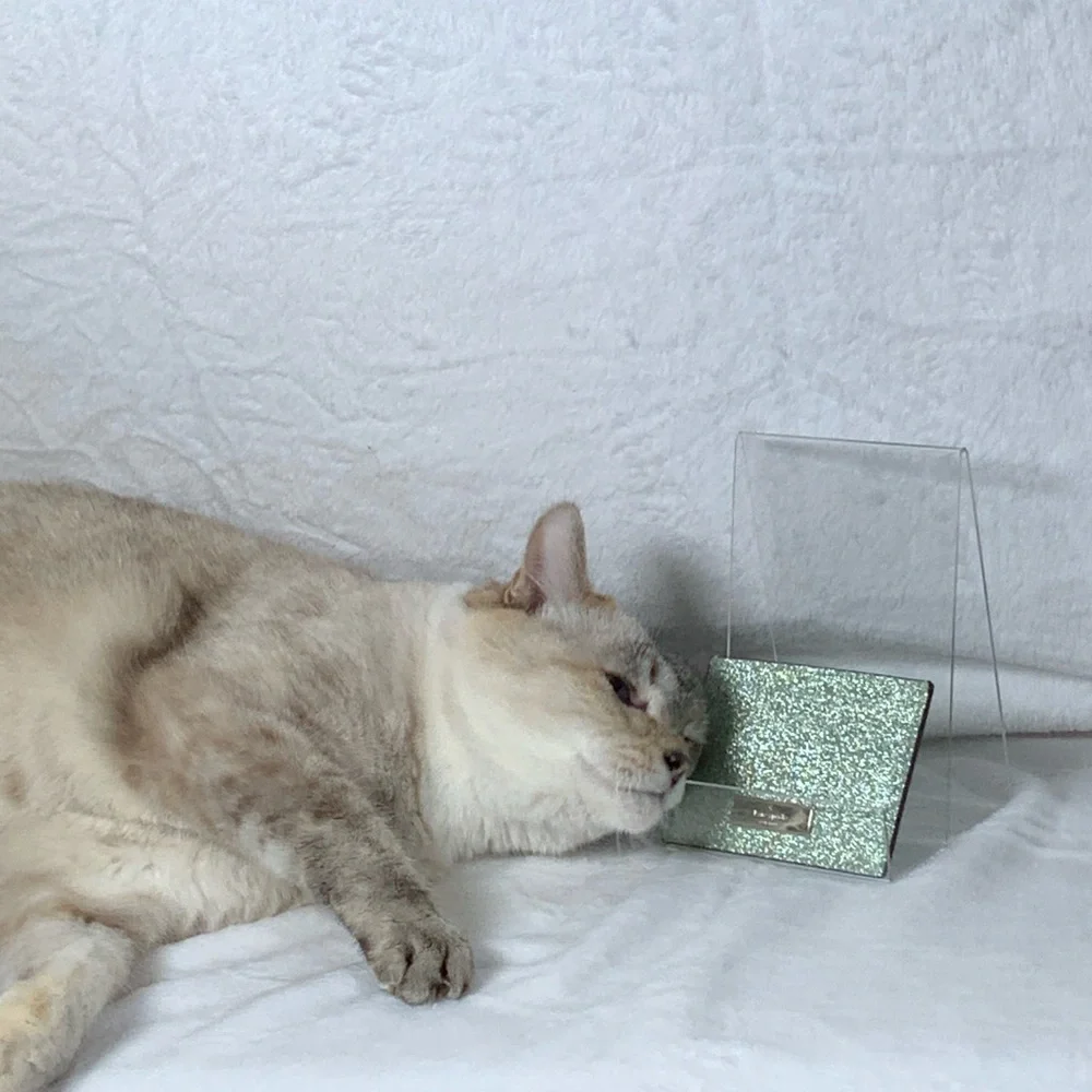 chic card