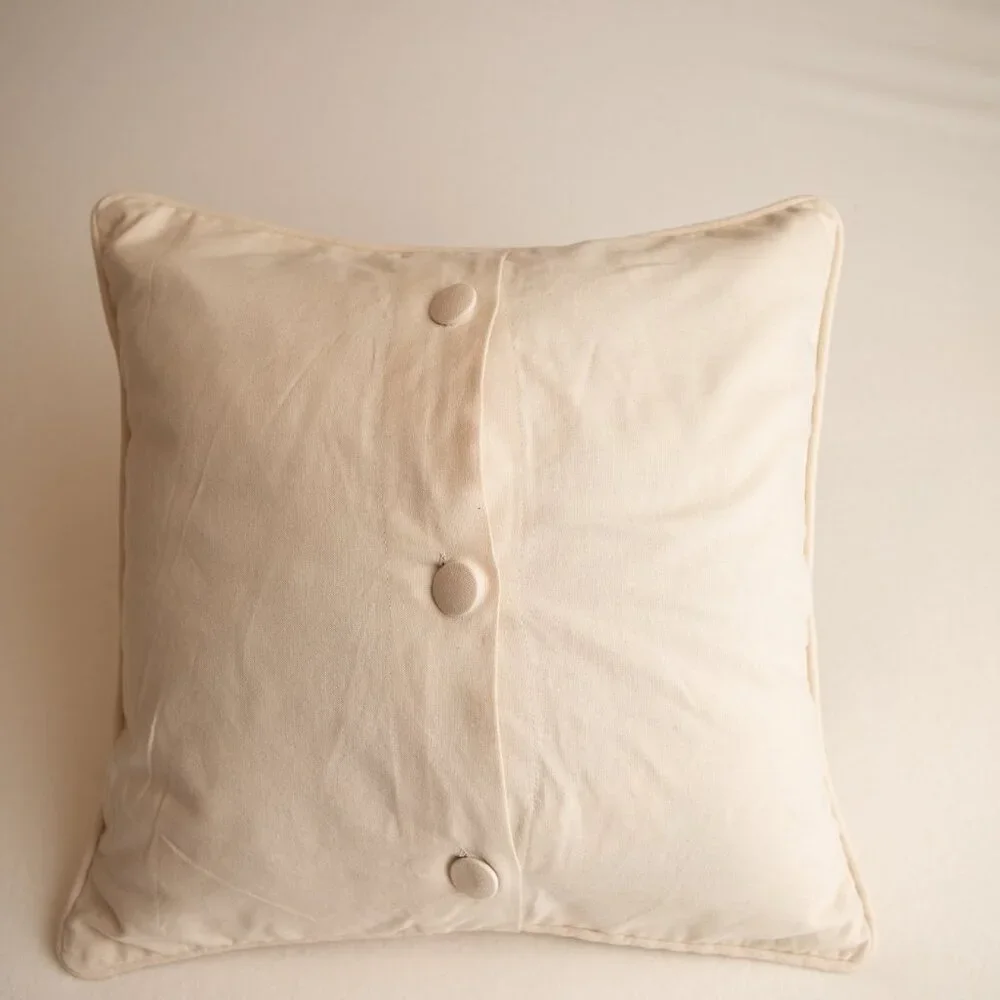 18x18 inch Pottery Barn Pillow Sham