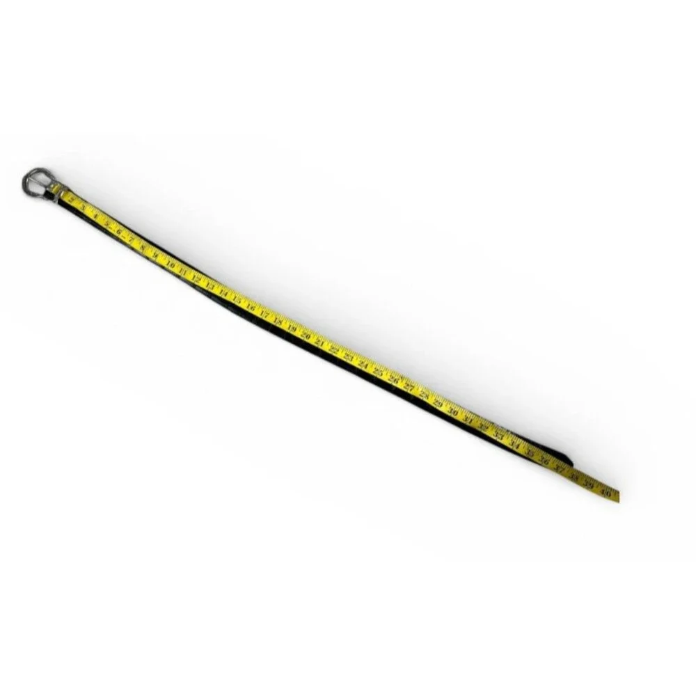 Brighton unisex belt
