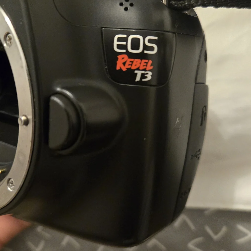 Canon dslr intuitive