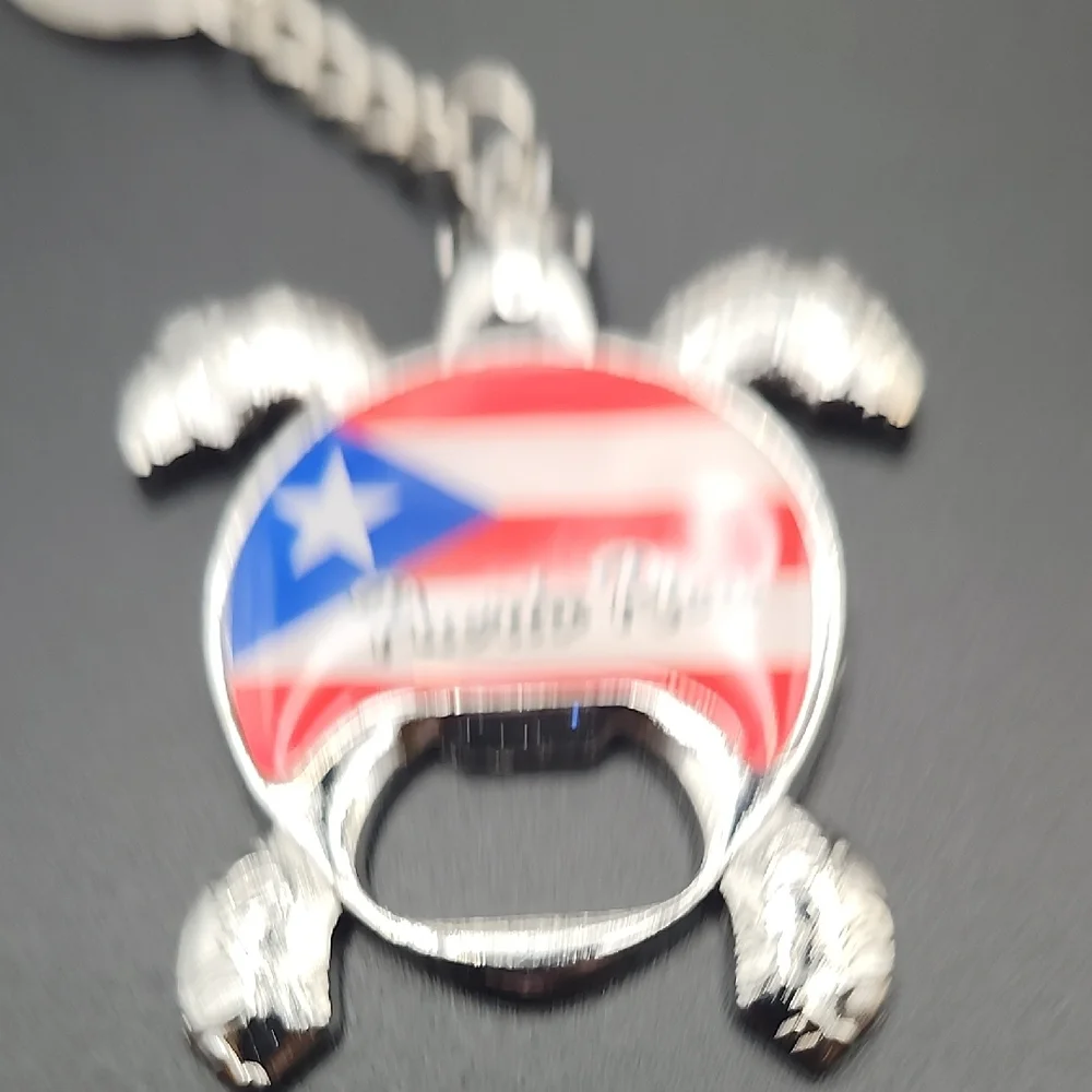 N/A silver turtle