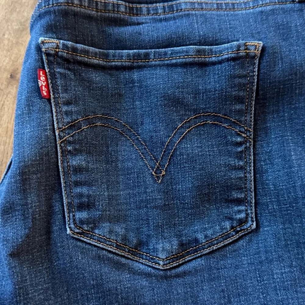 Levis levi strauss