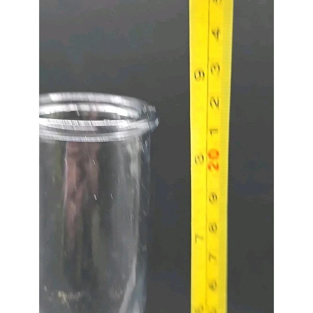 Vintage Clear Glass Round Hobnail Bottom Long Neck Bud Vase USA 8 1/2
