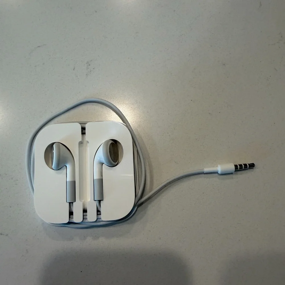 Apple earphones