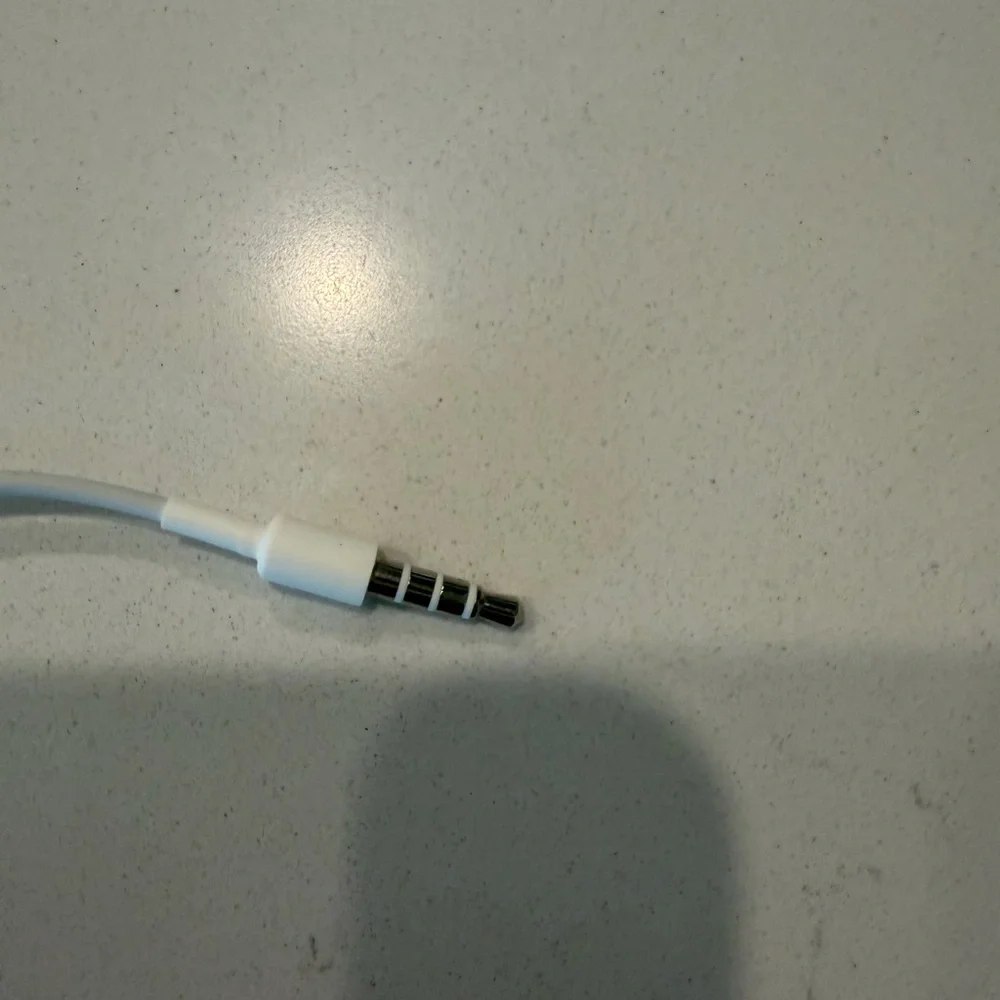 Apple earphones
