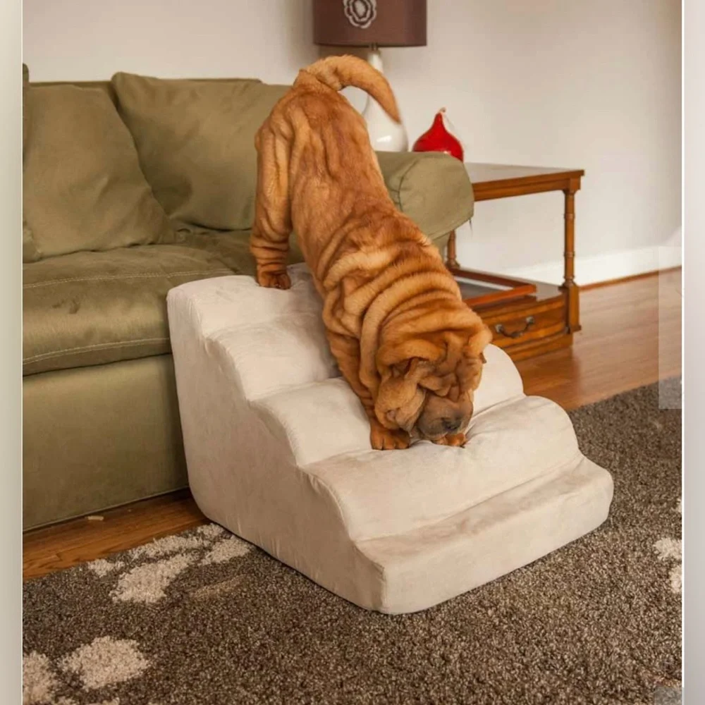 Snoozer scalloped dog