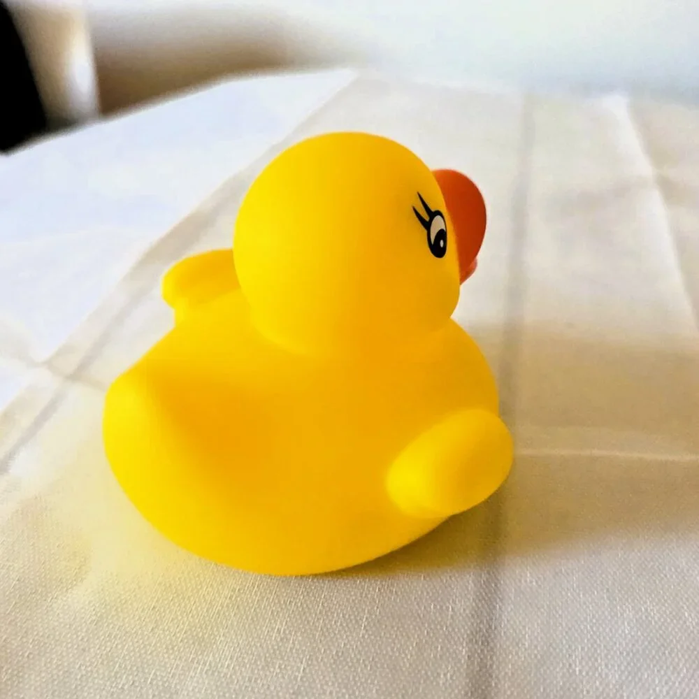 Duck from Art Deco Hotel Montana Lake Lucerne Switzerland Collectible Yellow