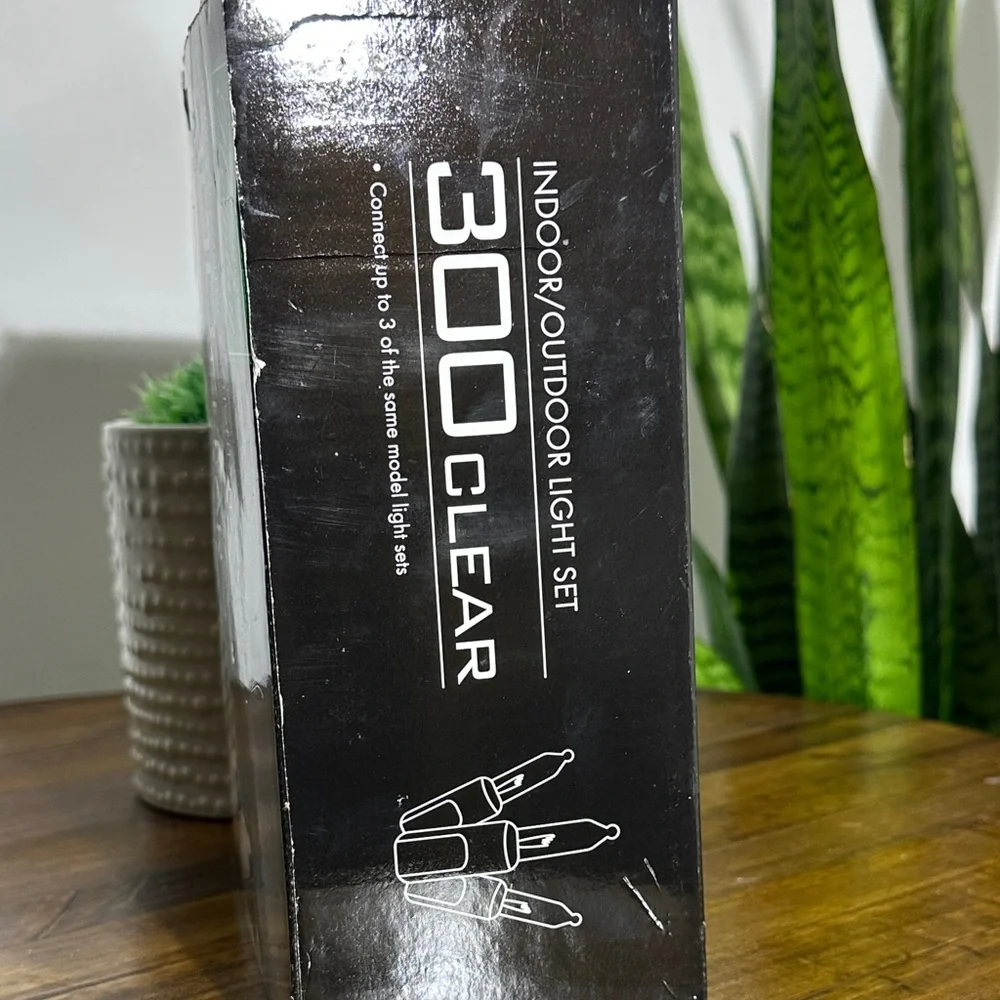 Holiday Editions Indoor/Outdoor Light Set - Clear