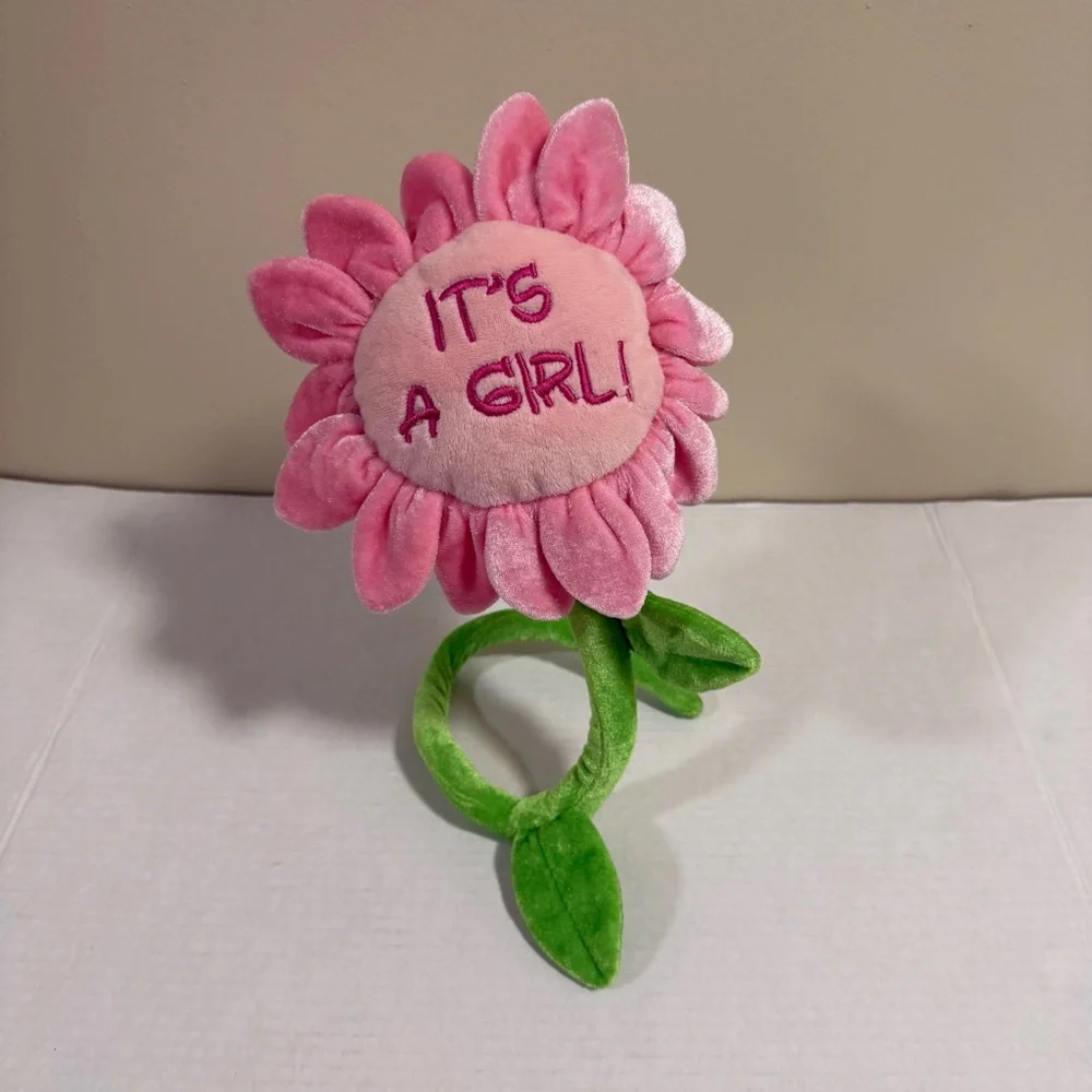 Source Unknown adorable pink