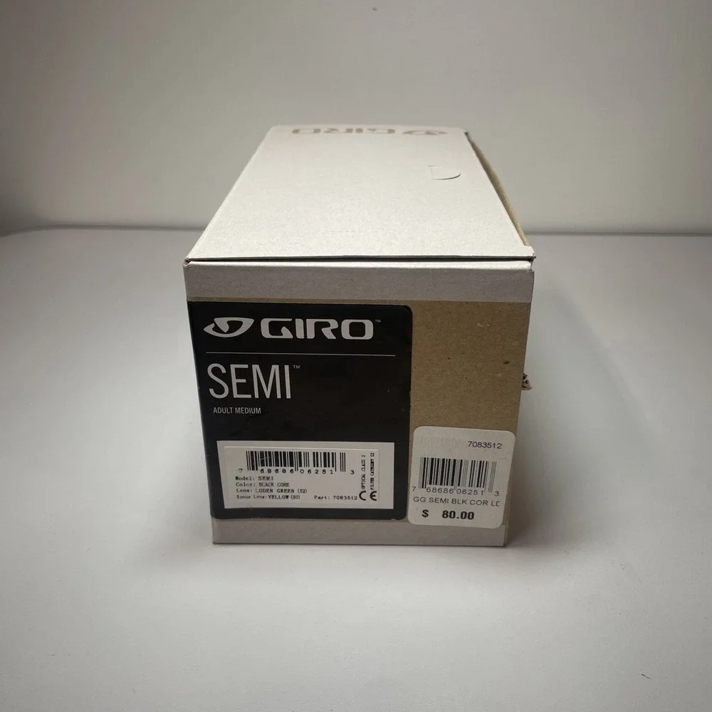 Giro ski dylan lenses