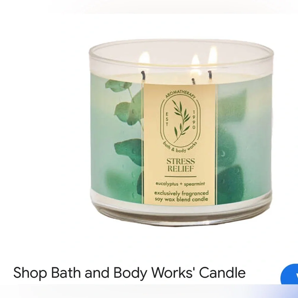 NWT Bath & Body Works Eucalyptus Spearmint Aromatherapy Candle