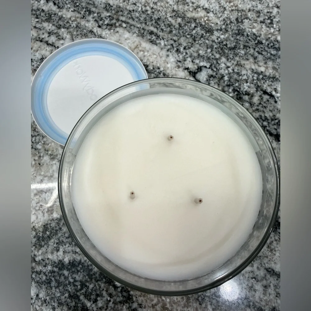 NWT Bath & Body Works Eucalyptus Spearmint Aromatherapy Candle